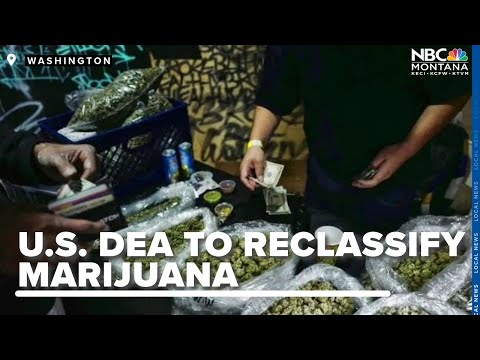DEA suggests reclassifying marijuana, recognizing medical use and lower abuse risk [Video]