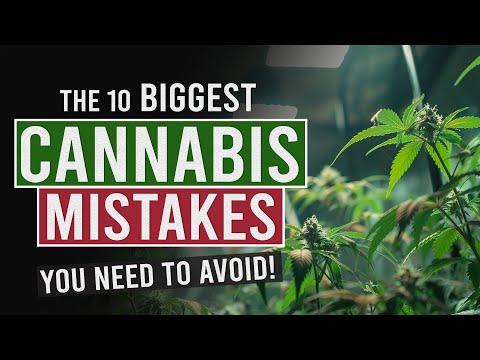 Avoid these 10 MISTAKES When Growing Cannabis! [Video]