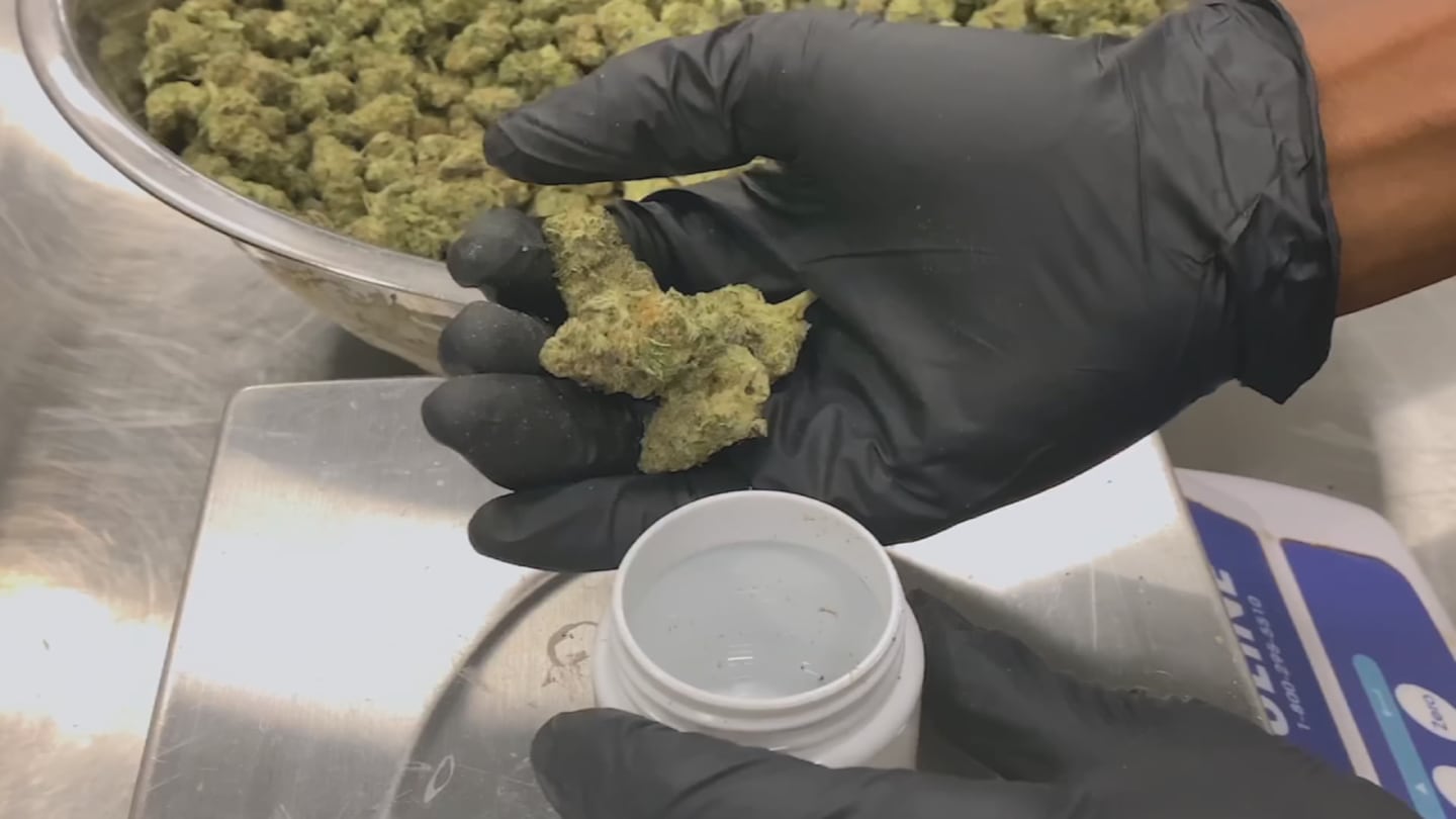 Medical marijuana could soon be available at your local GA pharmacy  WSB-TV Channel 2 [Video]