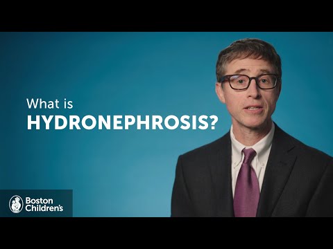 What is Hydronephrosis? | Boston Children