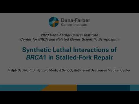 Synthetic Lethal Interactions of BRCA1 in Stalled-Fork Repair | 2023 BRCA Scientific Symposium [Video]