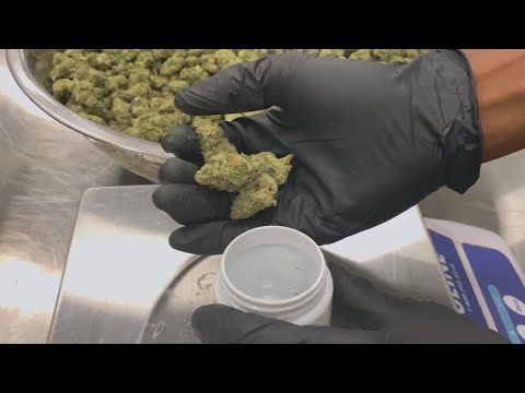 Medical marijuana could soon be available at your local Georgia pharmacy [Video]