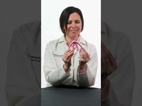Women’s Sexual Health: Clitoris Overview [Video]