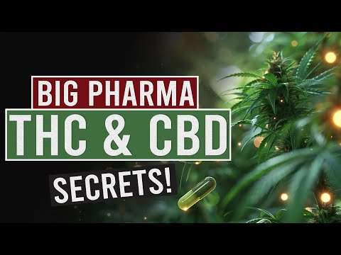 What Big Pharma Doesn’t Want You to Know About THC and CBD! [Video]