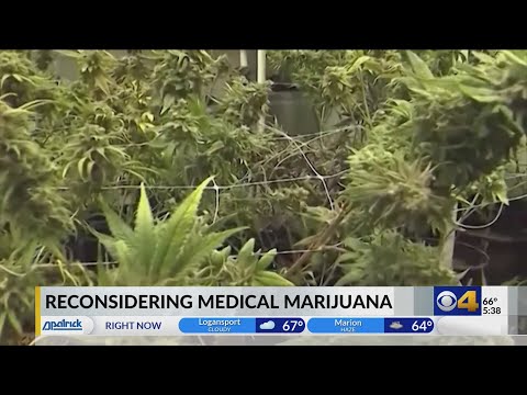 Indiana Democrats cautiously optimistic about medical marijuana legalization next year [Video]