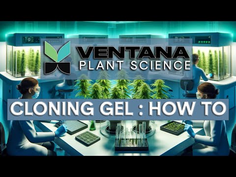 Cutting-Edge Cloning: VPS Cloning Gel’s New Pathogen-Free Approach [Video]