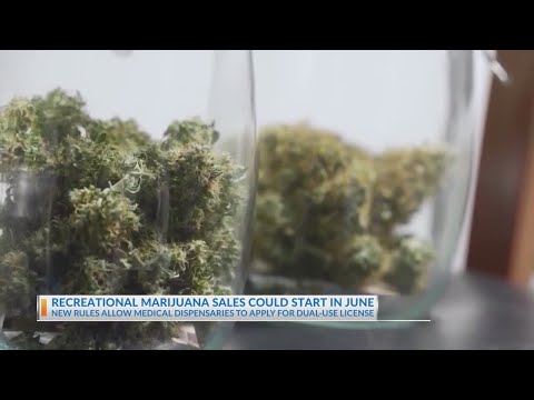 Recreational marijuana sales could start in June [Video]