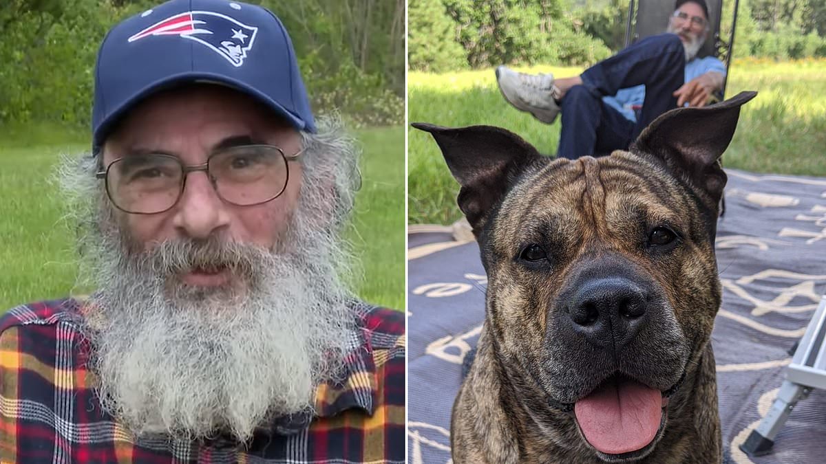 Dying Massachusetts man, 63, with no family makes desperate plea for help rehoming his beloved elderly dog [Video]