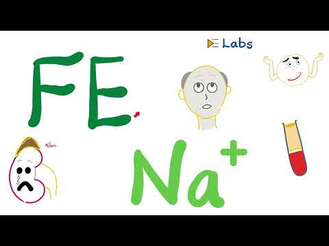 Fractional Excretion of Sodium (FENa) – Kidney Function Tests – Nephrology Labs [Video]