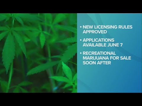 Recreational marijuana could be available in Ohio by mid-June [Video]