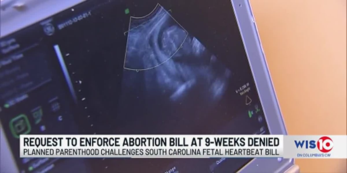 Circuit Court judge denies request to enforce abortion bill at 9 weeks [Video]