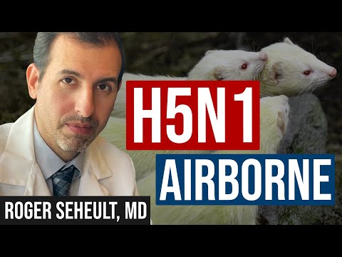 H5N1 Wastewater Data and New Study Showing H5N1 Airborne [Video]