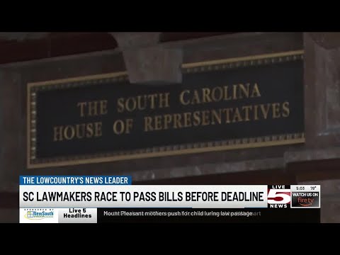 VIDEO: Clock ticking as SC lawmakers head into final week of legislative session [Video]