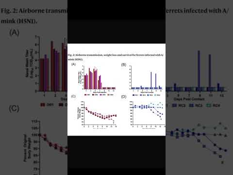H5N1 Mutation [Video]