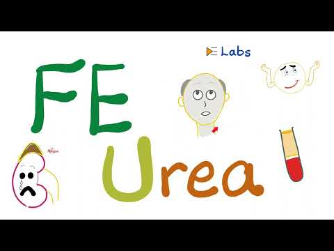 Fractional Excretion of Urea (FEUrea) - Kidney Function Tests - Nephrology Labs [Video]