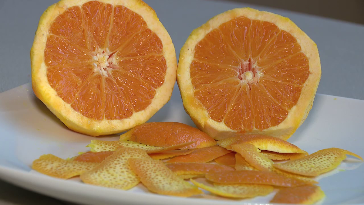 Could vitamin C treat skin cancer? USF study shows promise [Video]