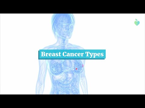 Breast Cancer Types [Video]