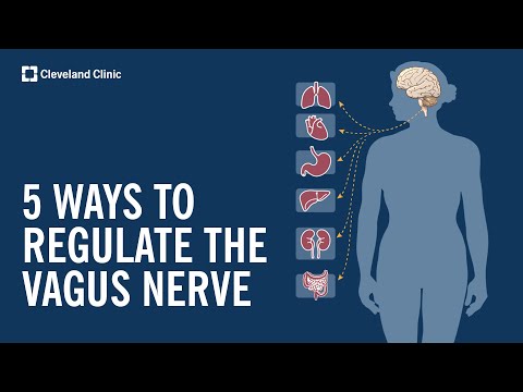 5 Ways to Stimulate and Regulate Your Vagus Nerve [Video]