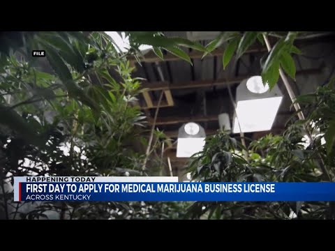 First day to apply for medical marijuana business license in Kentucky [Video]
