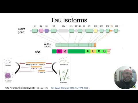Tau Biology and Pathology [Video]